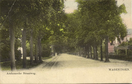 Nederland, WAGENINGEN, Arnhemsche Straatweg (1900s) Ansichtkaart - Wageningen