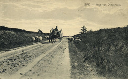 Nederland, EPE, Weg Van Oldebroek (1921) Nauta Ansichtkaart - Epe