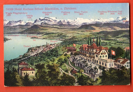 ZOOP-23 Hotel Kurhaus Belvoir  Rüschlikon Am Zürichsee. Panorama Mit Thalwil Horgen.Gel. 1910. Wehrli 14169 - Horgen