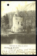 DILBEEK - Vieille Tour Du Château - Circulé - Circulated - Gelaufen - 1903. - Dilbeek