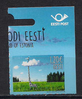 Estonia 2015 Kinds Of Estonia, Giraffe. B Mi 829 - Estonia