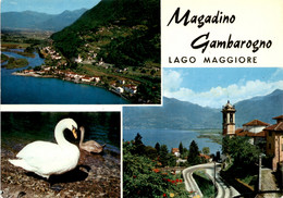 Magadino Gambarogno - Lago Maggiore - 3 Bilder (51-030) - Gambarogno