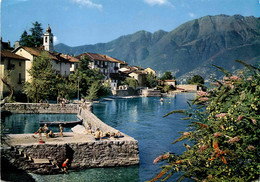 Gerra - Gamborogno - Lago Maggiore (6323) * 8. 7. 1980 - Cugnasco-Gerra