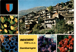 Indemini - Gambarogno - 5 Bilder (98) - Gambarogno