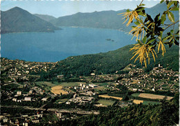 Ascona - Losone (7933) * 1971 - Losone