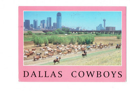 Cpm -  Texas > Dallas - COWBOYS - COW BOYS - Cheval Vache - Dallas