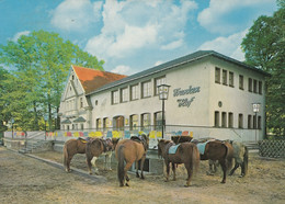 Reken Bahnhof Uber Dorsten - Hotel Pension Frankenhof Bes Heinrich Pohlmann , Pferde Horses 1966 - Dorsten