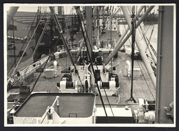 Belgique,indication Au Verso :port D'Anvers, Sur Le Bateau Jadotville. Photo Véritable Année 1960 - Bateaux