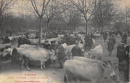 CPA 09 PAMIERS FOIRE AUX BOEUFS - Pamiers