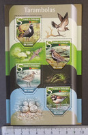 St Thomas 2015 Birds Plovers Tarambolas Eggs M/sheet Mnh - Full Sheets & Multiples