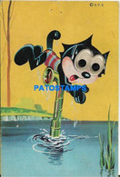 162193 ART ARTE HUMOR THE GLASS-EYED CAT ENCOUNTERED SOMETHING IN THE WATER POSTAL POSTCARD - Non Classificati