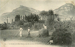 Chambéry * Environs * Le Nivolet Et Le Mont Pennay * Fenaison Travail Aux Champs - Chambery