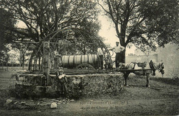 Paimboeuf * Porteur D'eau Attelage Cheval * Puits Du Champ De Mars - Paimboeuf