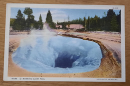 16049 Morning Glory Pool - Yellowstone