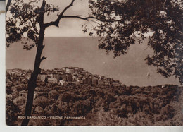 RODI GARGANICO FOGGIA PANORAMA  1955  VG - Foggia