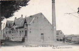 St Maria-Hoorebeke   Melkerij   < De Maagd > Voyagé En 1907 - Horebeke