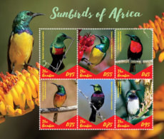 Gambia  2019    Fauna   Sunbirds  Of Africa   I201901 - Gambia (1965-...)