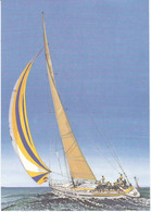 B01-373 2 Grandes Cartes Maximum France 1993 Entiers Postaux Maxi Yacht La Poste - Collections & Lots: Stationery & PAP