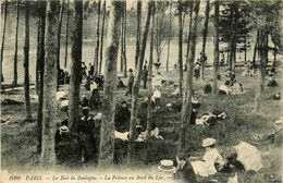 Paris * 16ème * Le Bois De Boulogne * La Pelouse Au Bord Du Lac - Parcs, Jardins