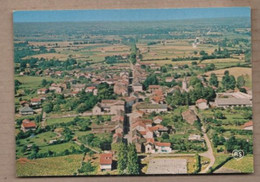 CPSM 81 - PAMPELONNE - Vue Générale - TB PLAN CENTRE VILLAGE Détails Maisons Rues - Pampelonne