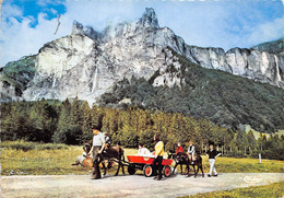 74-SIXT- LE CIRQUE DU FER A CHEVAL , LES ANES TAXI - Sixt-Fer-à-Cheval