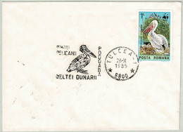 Rumänien / Romana 1985, Briefumschlag Tulcea, Donaudelta / Delta Dunarii,  Pelikan / Pelican / Pelecanus - Pélicans