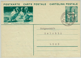 Schweiz / Helvetia 1935, Bildpostkarte Zoologischer Garten Basel Lützelflüh - Lyss, Pelikane / Pelican / Pelicanus - Pélicans