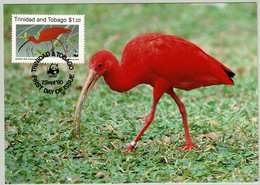 Trinidad And Tobago 1990, Karte Roter Sichler / Scarlet Ibis, WWF - Pélicans