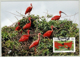 Trinidad And Tobago 1990, Karte Roter Sichler / Scarlet Ibis, WWF - Pélicans