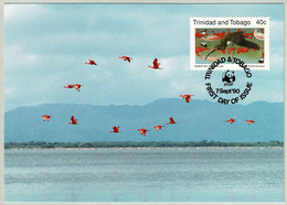 Trinidad And Tobago 1990, Karte Roter Sichler / Scarlet Ibis, WWF - Pélicans