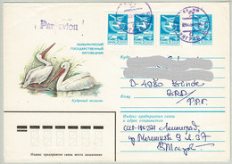 UdSSR / CCCP 1983, Ganzsachenbrief Naturschutzpark Kysylkum Nach Bünde (Deutschland) - Pélicans