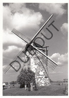 MEETKERKE - Molen / Moulin - Originele Foto Jaren '70   (Q50) - Zuienkerke