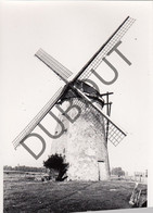 MEETKERKE - Molen / Moulin - Originele Foto Jaren '70 - Watermolen Grote Molen - Biezestraat  (Q66) - Zuienkerke