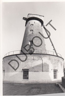 ZWEVEGEM - Molen / Moulin - Originele Foto Jaren '70 - De Klockemolen Twee Molenstraat  (Q118) - Zwevegem