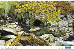 FAIRY GLEN, BETWS-Y-COED, CONWY, NORTH WALES. UNUSED POSTCARD  Ph3 - Carmarthenshire