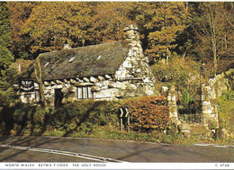 THE UGLY HOUSE, BETWS-Y-COED, CONWY, NORTH WALES. UNUSED POSTCARD  Ph4 - Carmarthenshire