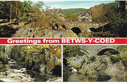 SCENES FROM BETWS-Y-COED, CONWY, NORTH WALES. UNUSED POSTCARD  Ph4 - Carmarthenshire