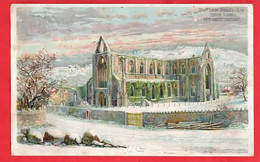 TINTERN    TINTERN ABBEY FROM S W    LOVELY ART VIEW  Pu 1906  COLMAN STARCH ADVERT - Monmouthshire