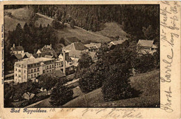 CPA AK Bad Rippoldsau GERMANY (738788) - Bad Rippoldsau - Schapbach