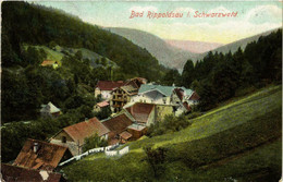 CPA AK Bad Rippoldsau Im Schwarzwald GERMANY (738787) - Bad Rippoldsau - Schapbach