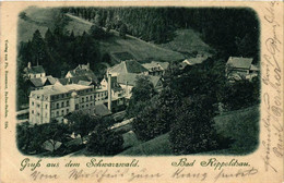 CPA AK Grufs Aus Dem Schwarznald GERMANY (738827) - Bad Rippoldsau - Schapbach