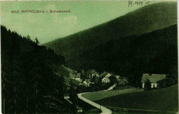 CPA AK Bad Rippoldsau Im Schwarzwald GERMANY (738831) - Bad Rippoldsau - Schapbach