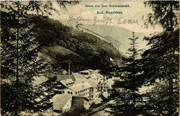 CPA AK Gruss Aus Dem Schwarzwald Bad Rippoldsau GERMANY (738859) - Bad Rippoldsau - Schapbach