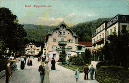 CPA AK Bad Rippolds-Au GERMANY (738870) - Bad Rippoldsau - Schapbach