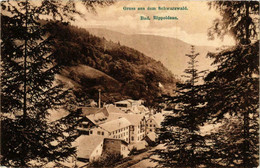 CPA AK Gruss Aus Dem Schwarzwald Bad Rippoldsau GERMANY (738877) - Bad Rippoldsau - Schapbach