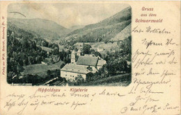 CPA AK Rippoldsau-Klosterle Gruss Aus Dem Schwarzwald GERMANY (739011) - Bad Rippoldsau - Schapbach