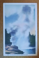 16065 Riverside Geyser, Height 100 Feet  2/2 Non Circulé - Yellowstone