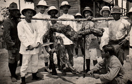 Ethnologie (Asie, Probablement Au Viet-Nam) Chasse: Capture D'un Serpent - Carte-photo Gevaert Non Circulée - Azië