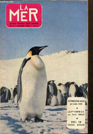 La Mer : Science, Aventure, Sport, Histoire - N°8 (janvier 1959) - Les Canaries, L'Atlantide (J.A. Foex) / Les Poissons- - Sport