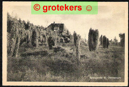 OOTMARSUM Springendal Ca 1945 - Ootmarsum